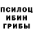 Галлюциногенные грибы GOLDEN TEACHER Fruit jam